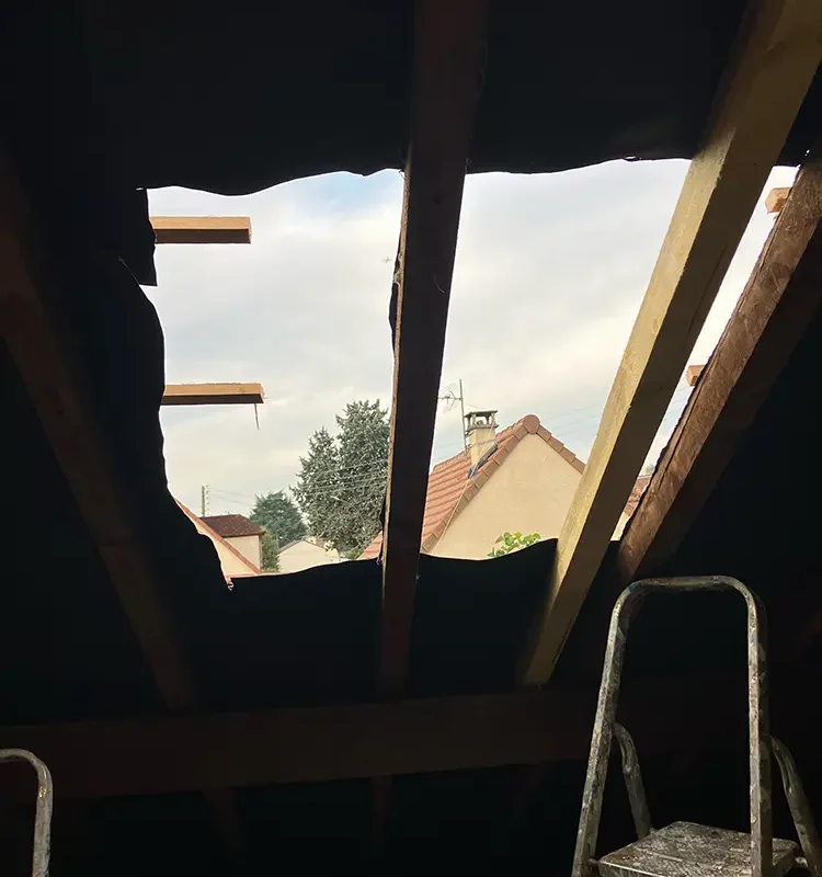 pose velux argenteuil