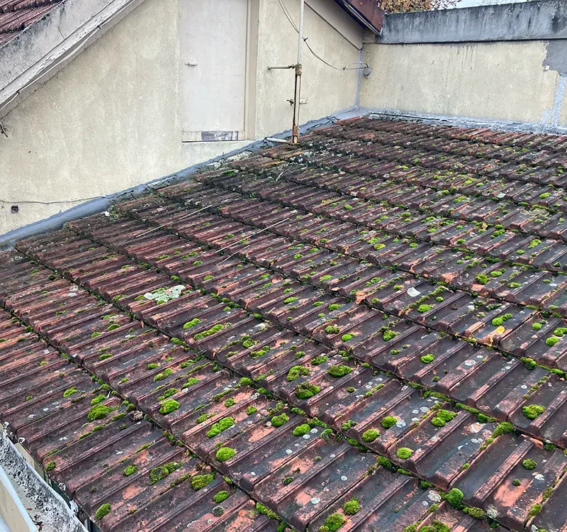 remplacement toiture francoville